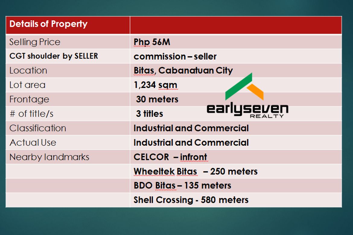 Commercial for Sale in Bitas, Cabanatuan, Nueva Ecija – photo 5