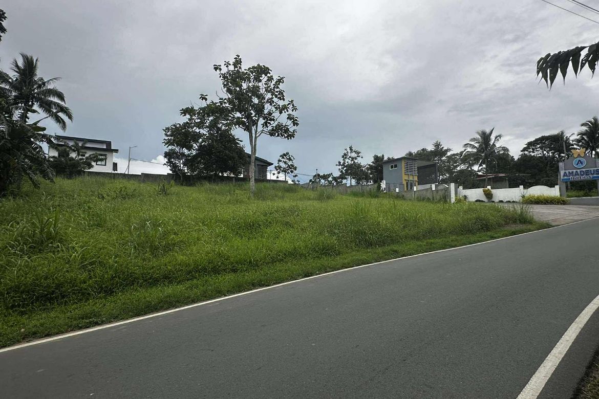 Commercial for Sale in Bucal, Amadeo, Cavite – photo 4