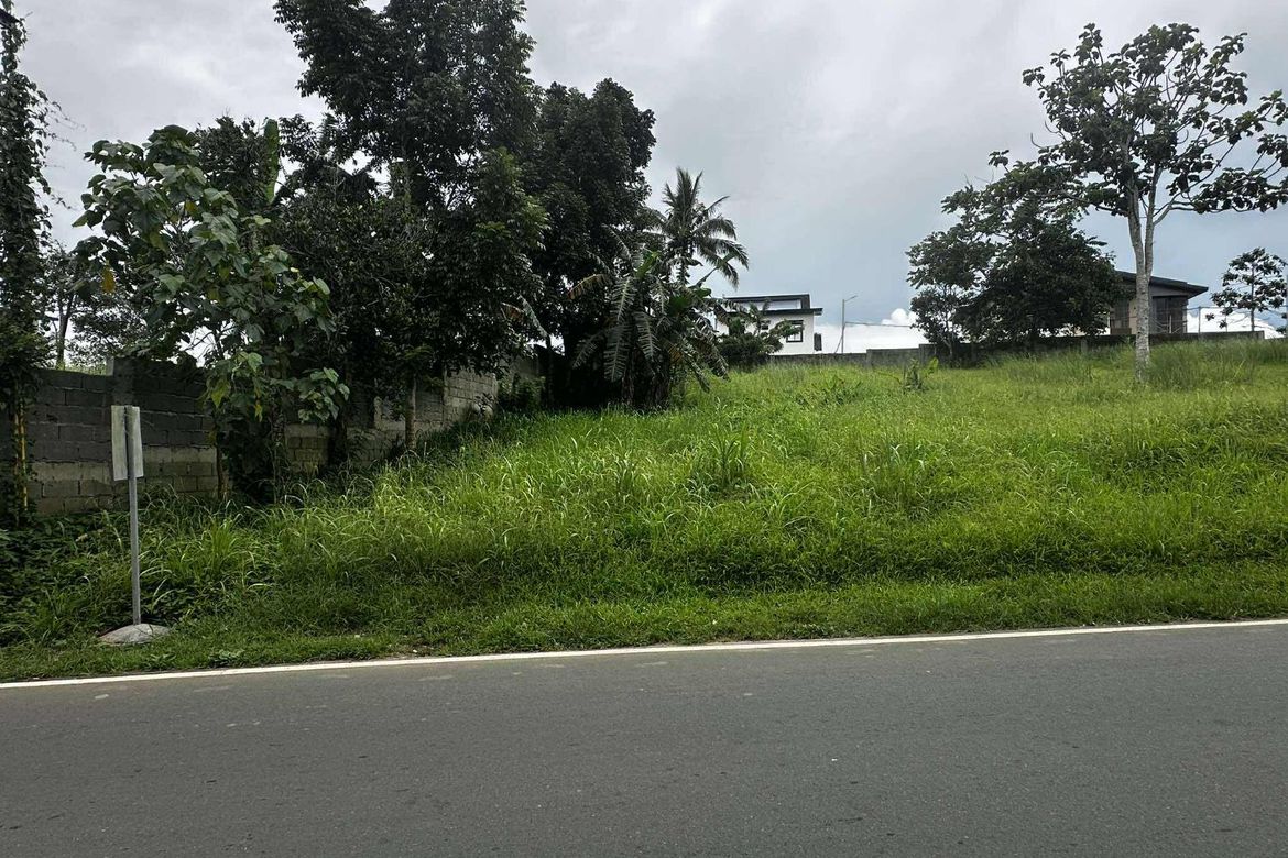 Commercial for Sale in Bucal, Amadeo, Cavite – photo 6
