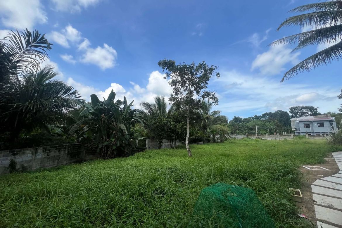 Commercial for Sale in Bukal, Mendez, Cavite – photo 8