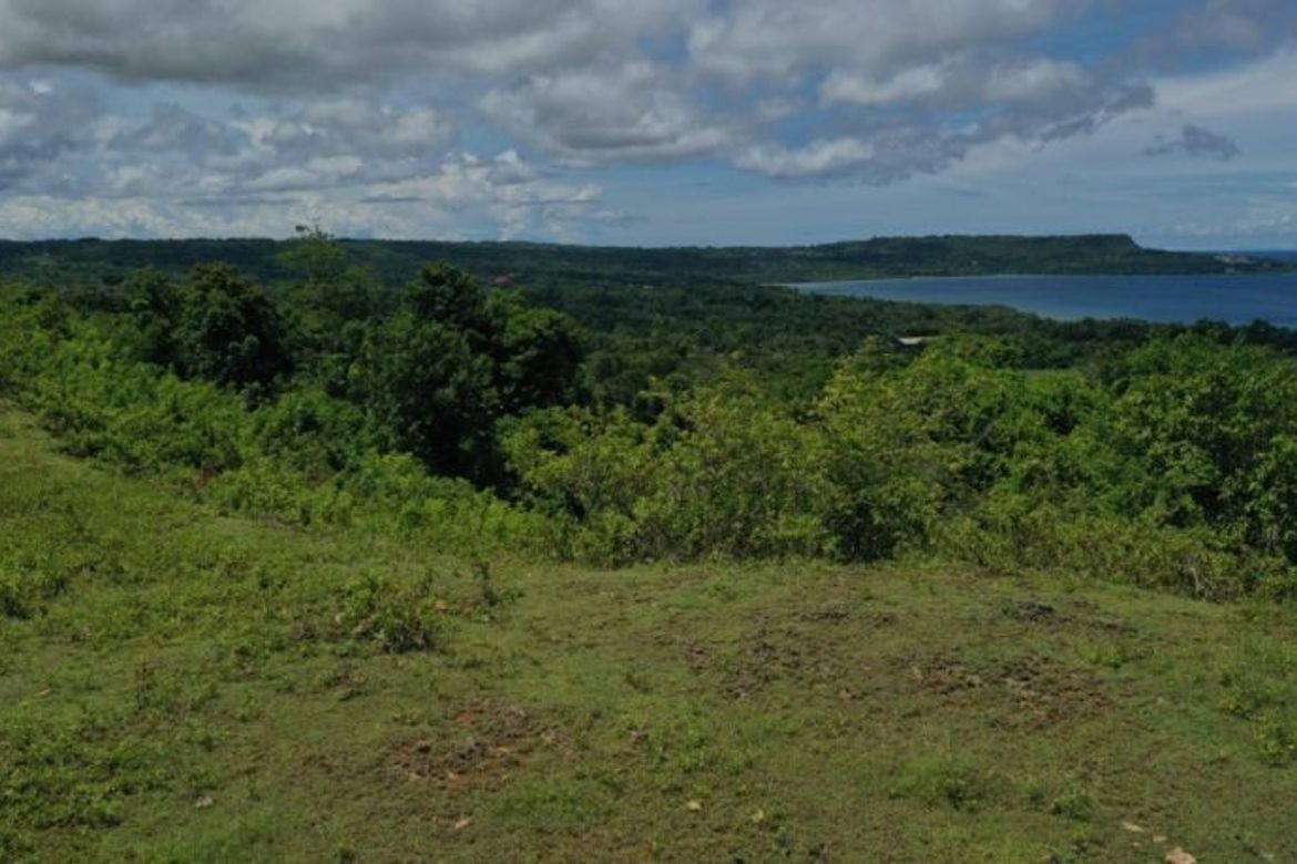 Commercial for Sale in Cang-Agong, Siquijor, Siquijor – photo 2