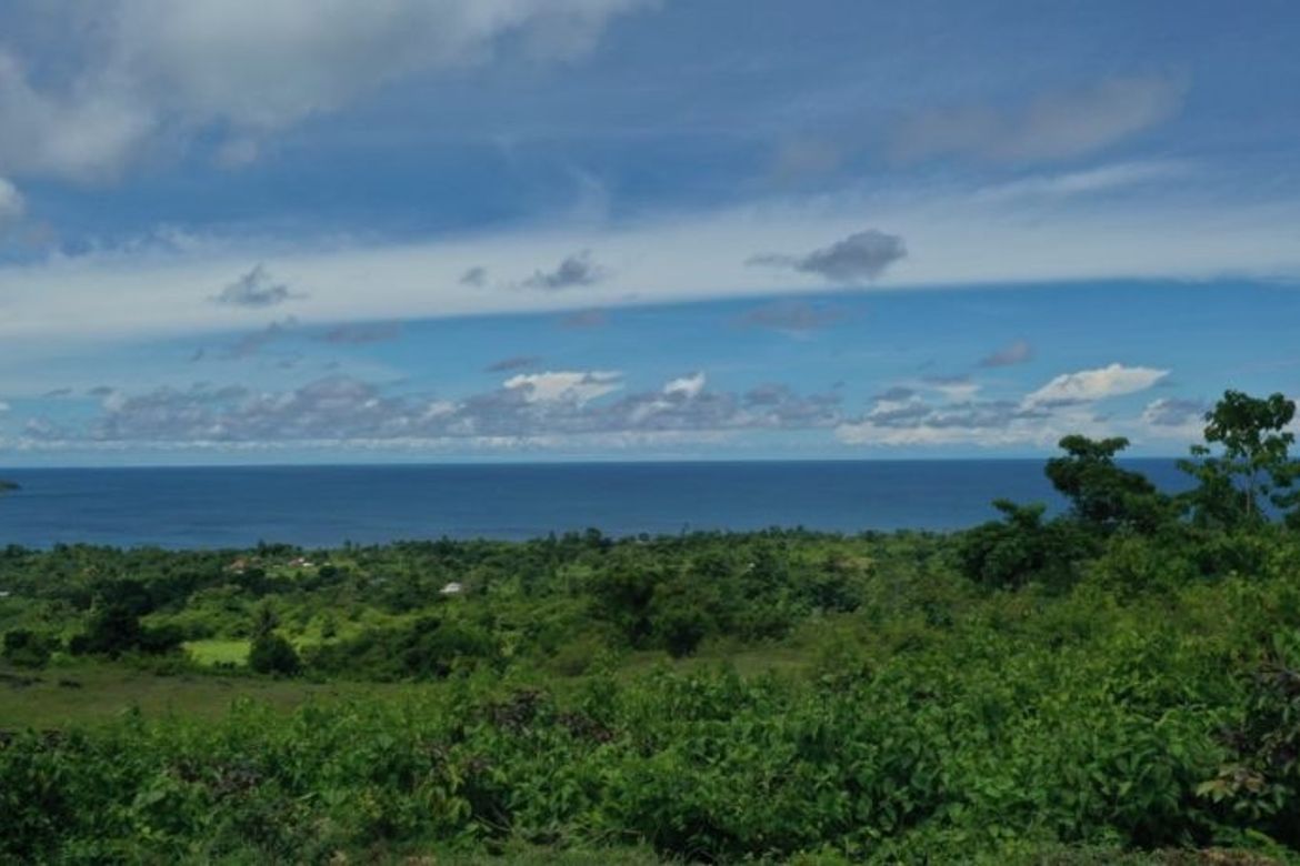 Commercial for Sale in Cang-Agong, Siquijor, Siquijor – photo 3