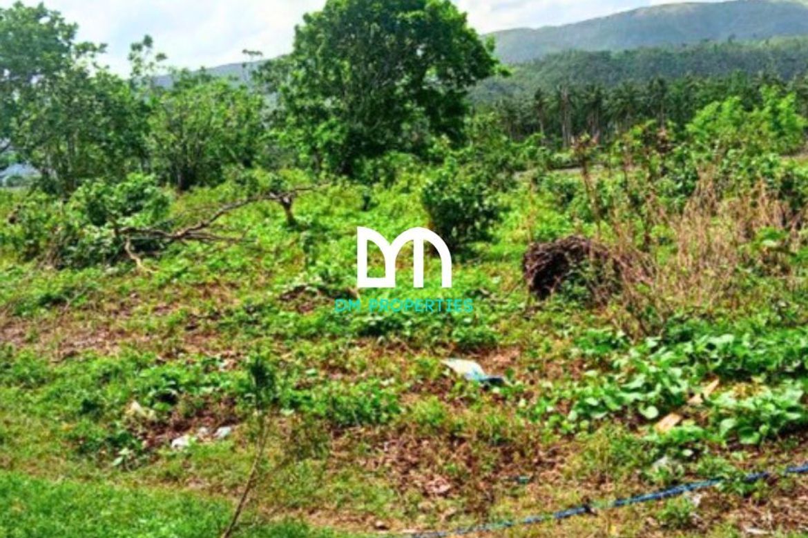 Commercial for Sale in Caragsacan, Dingalan, Aurora – photo 2