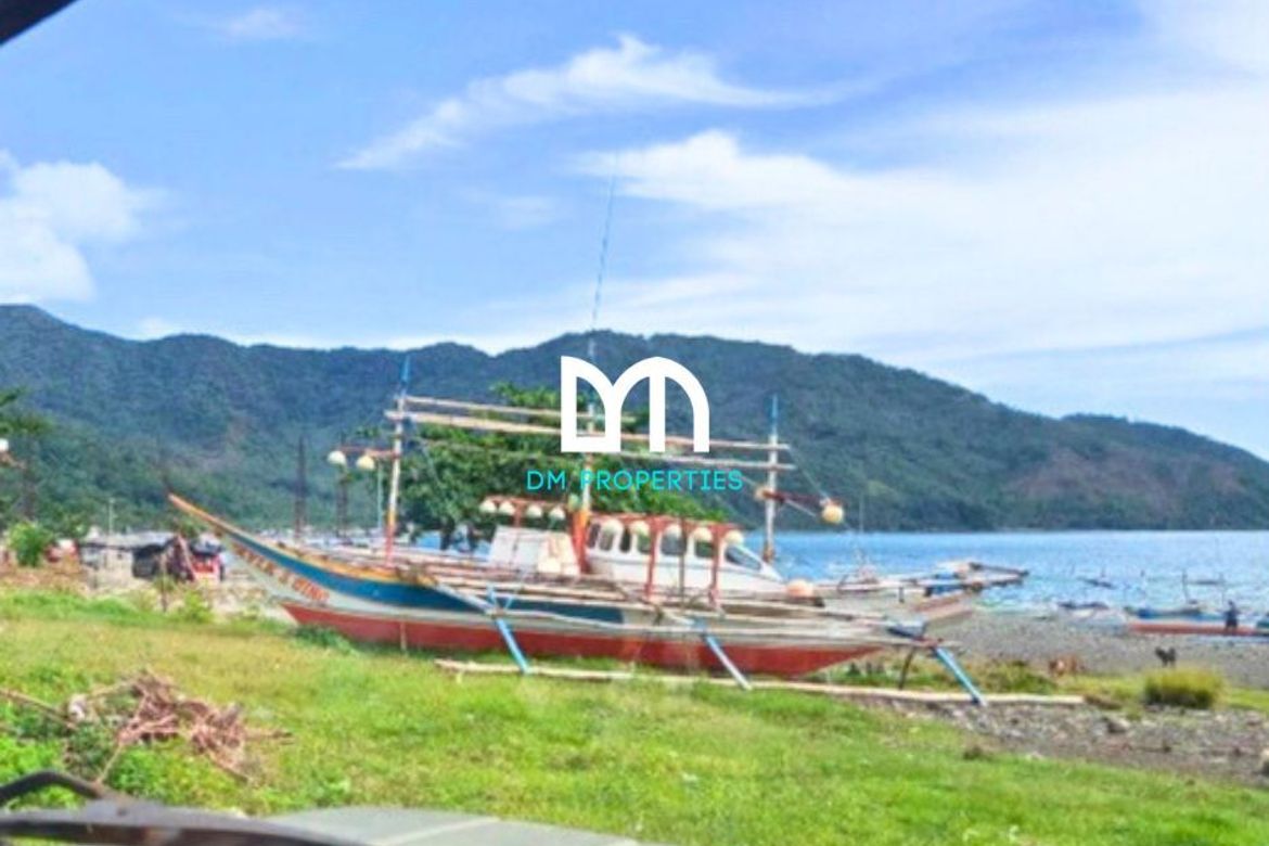 Commercial for Sale in Caragsacan, Dingalan, Aurora – photo 5