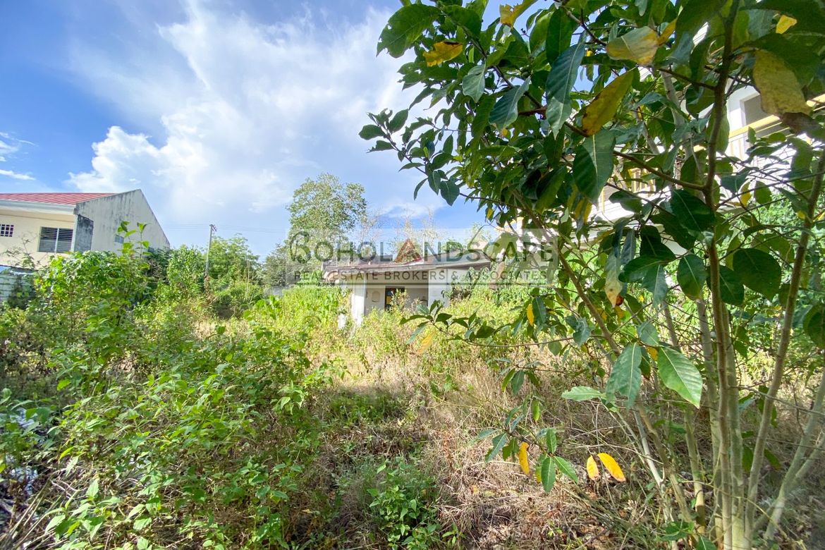 Commercial for Sale in Cogon, Tagbilaran, Bohol – photo 4