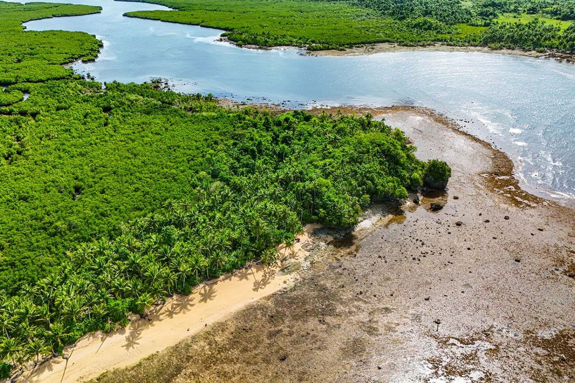 Commercial for Sale in Datu, Pilar, Surigao del Norte – photo 2