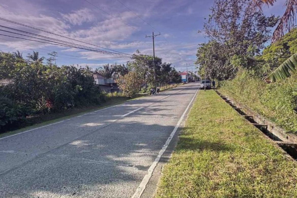 Commercial for Sale in Kaytitinga III, Alfonso, Cavite – photo 6