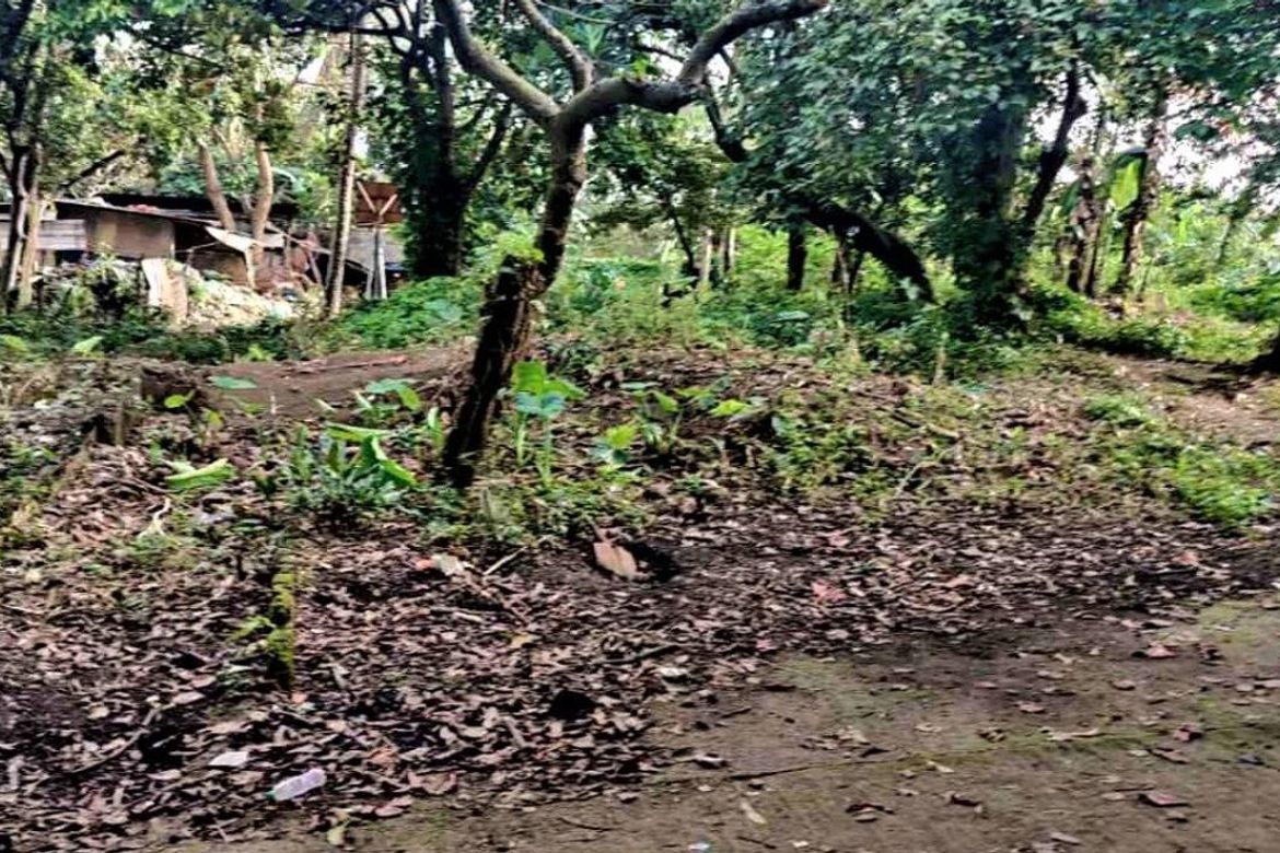 Commercial for Sale in Mabuhay, Carmona, Cavite – photo 3