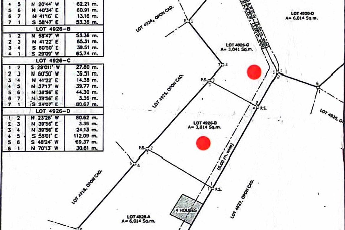 Commercial for Sale in Mactan, Lapu-Lapu, Cebu – photo 4