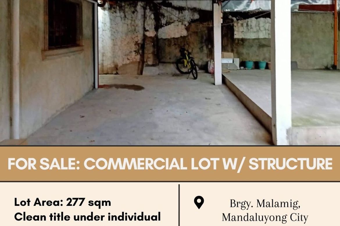 Commercial for Sale in Malamig, Mandaluyong, Metro Manila near MRT-3 Boni