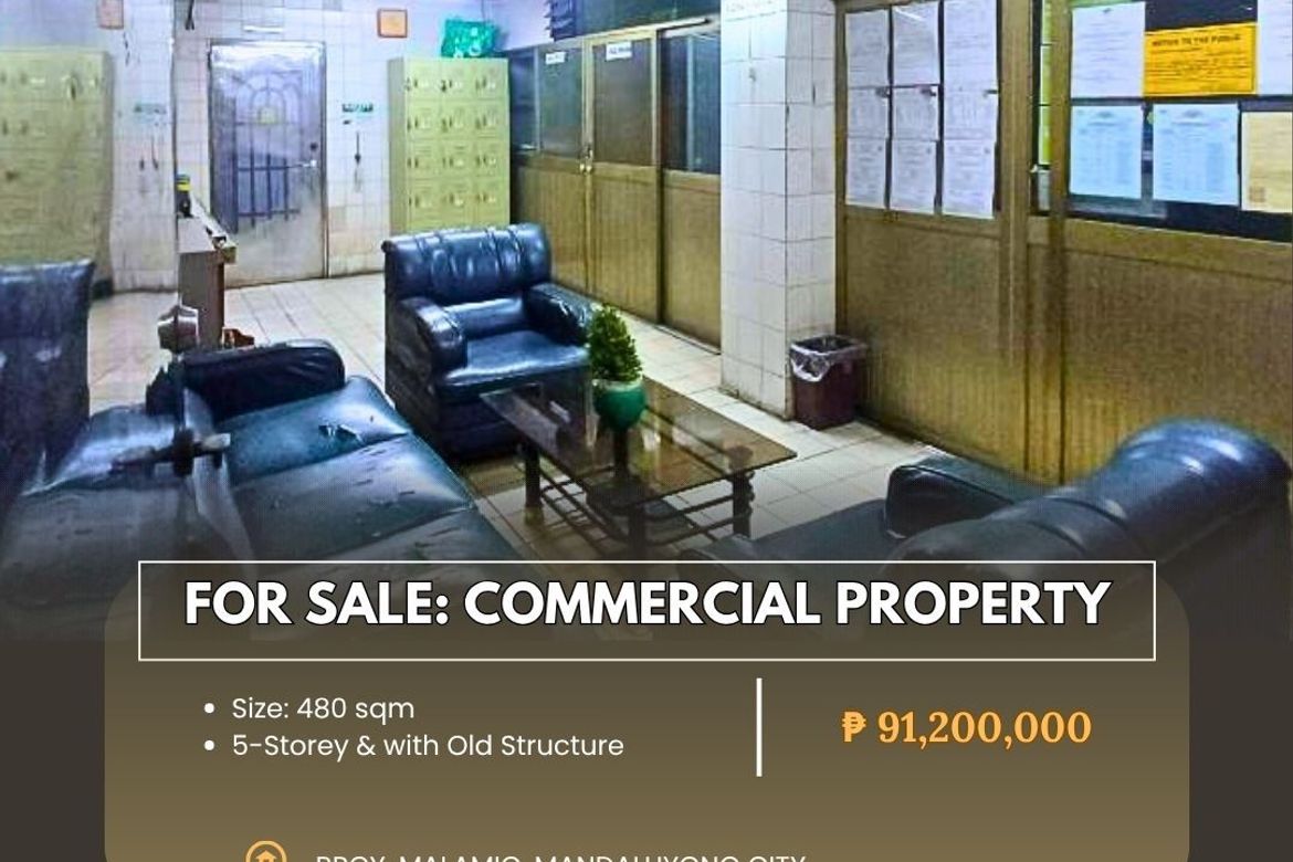 Commercial for Sale in Malamig, Mandaluyong, Metro Manila near MRT-3 Boni