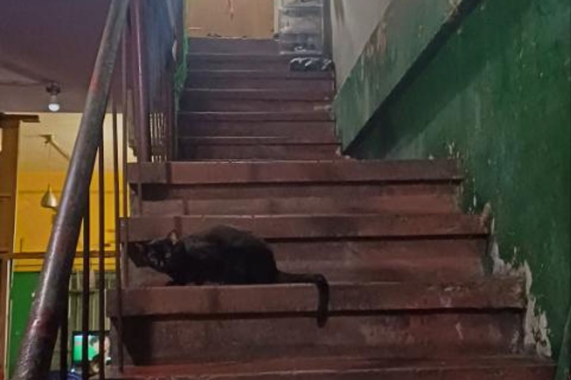 Commercial for Sale in Malamig, Mandaluyong, Metro Manila near MRT-3 Boni – photo 8