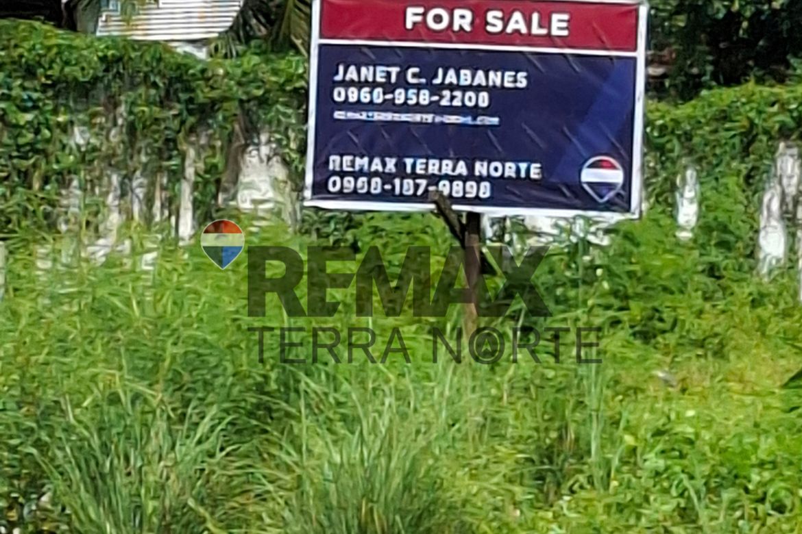 Commercial for Sale in Mayombo, Dagupan, Pangasinan – photo 3