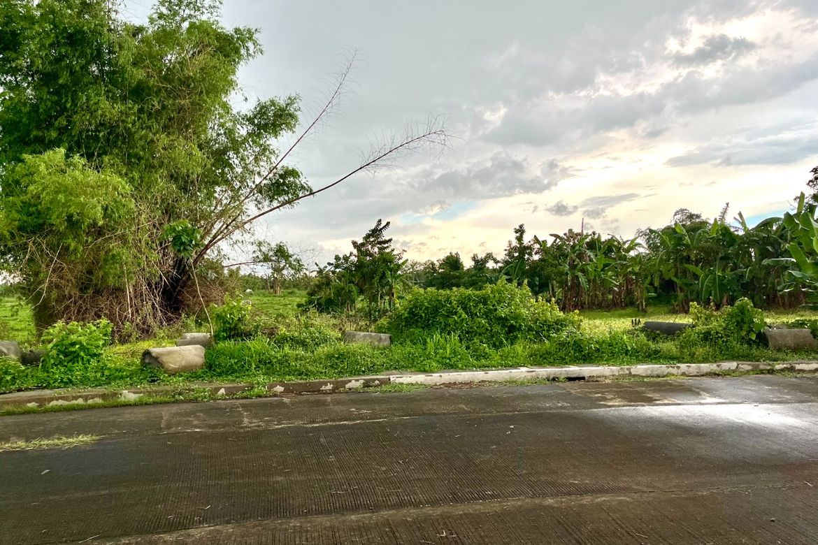 Commercial for Sale in MESILO, Sampaloc II, Dasmariñas, Cavite – photo 2