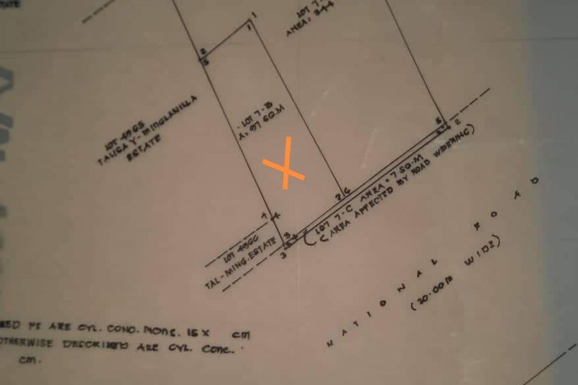 Commercial for Sale in Minglanilla, Cebu – photo 3