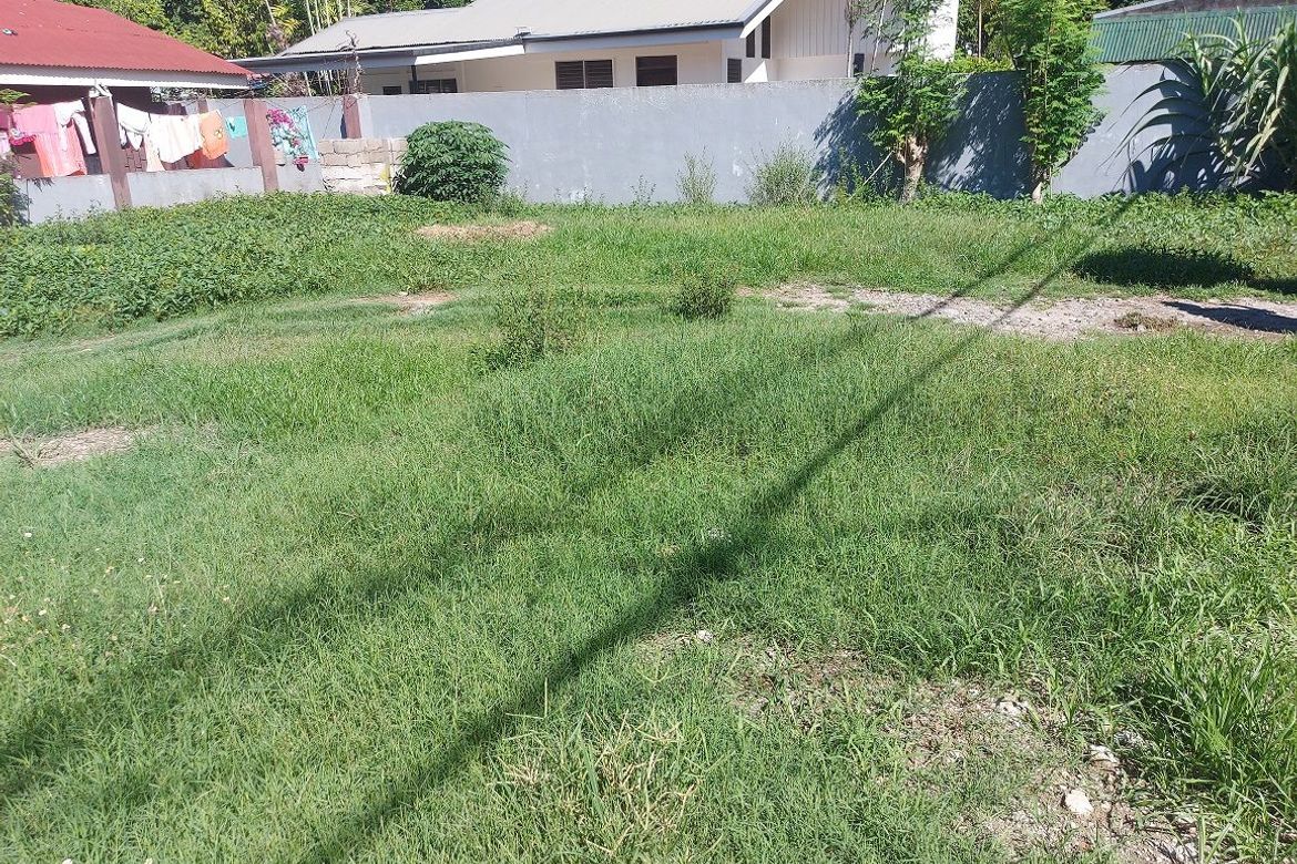 Commercial for Sale in Piapi, Dumaguete, Negros Oriental – photo 4