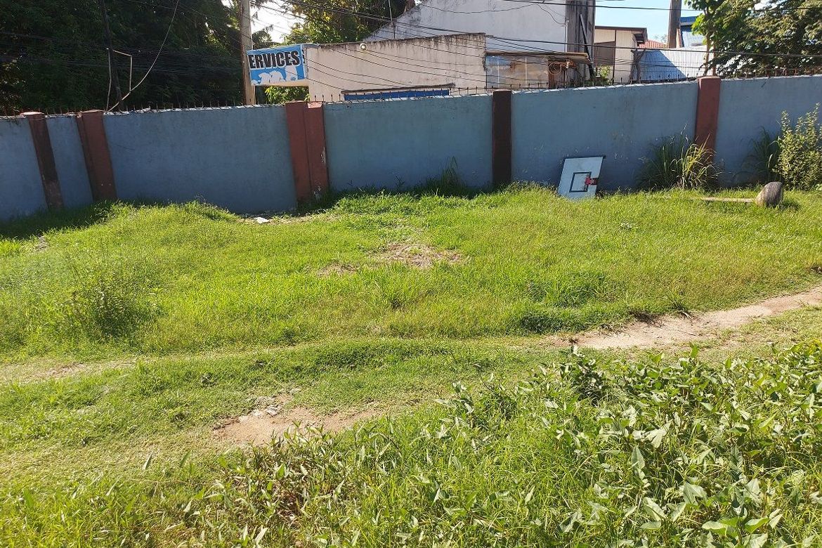 Commercial for Sale in Piapi, Dumaguete, Negros Oriental – photo 7