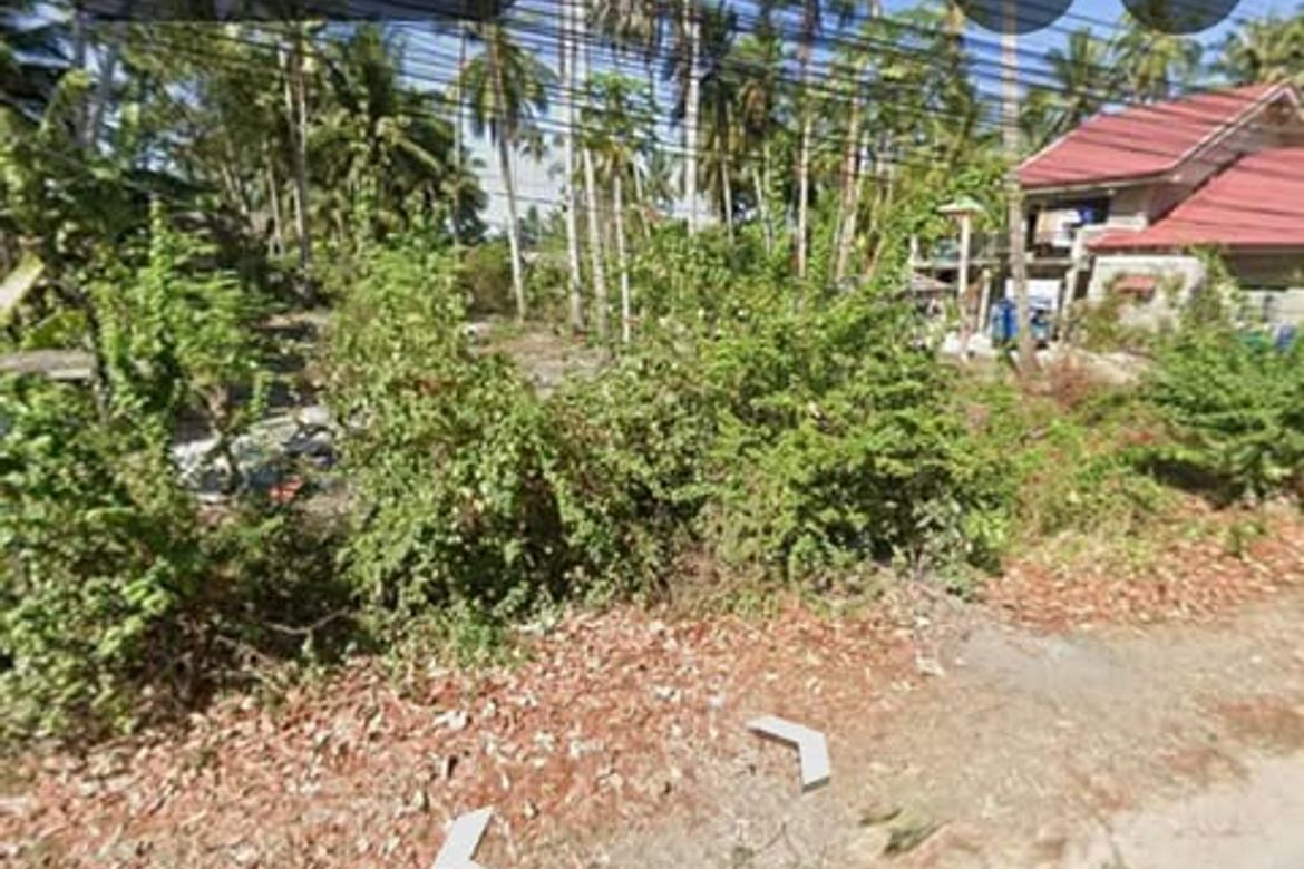 Commercial for Sale in Poblacion, Panglao, Bohol – photo 3