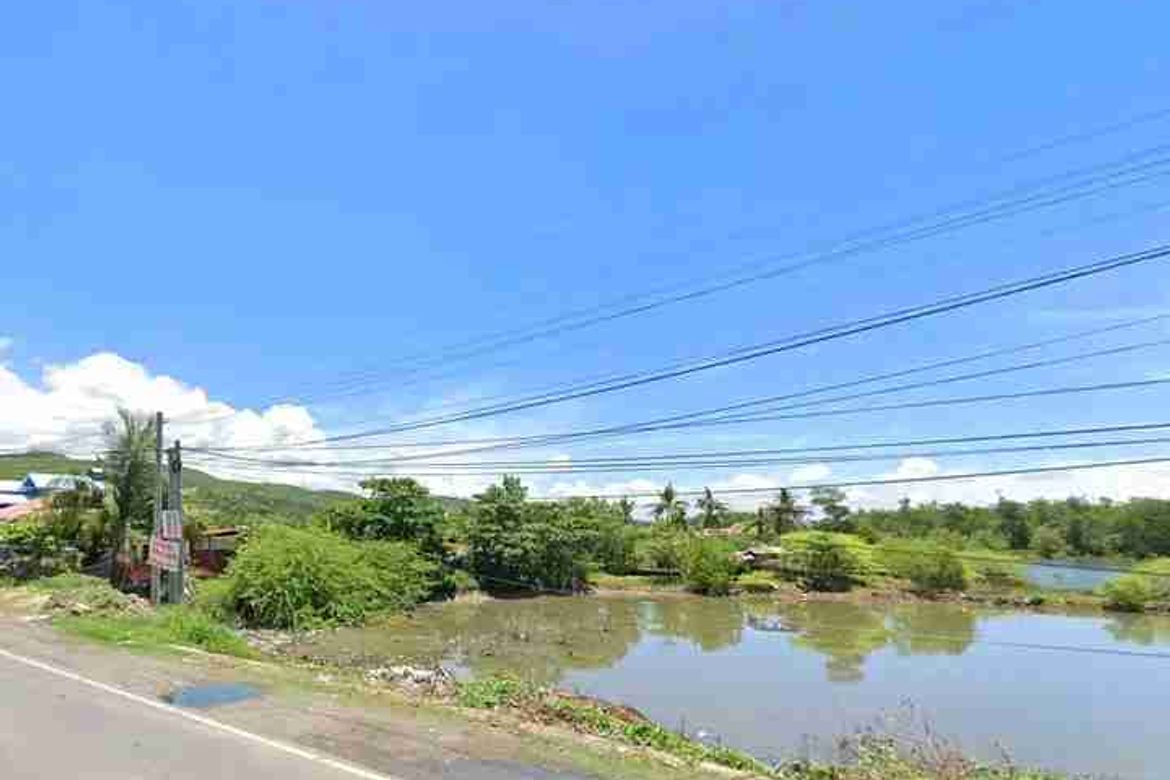 Commercial for Sale in Poblacion, Sibonga, Cebu