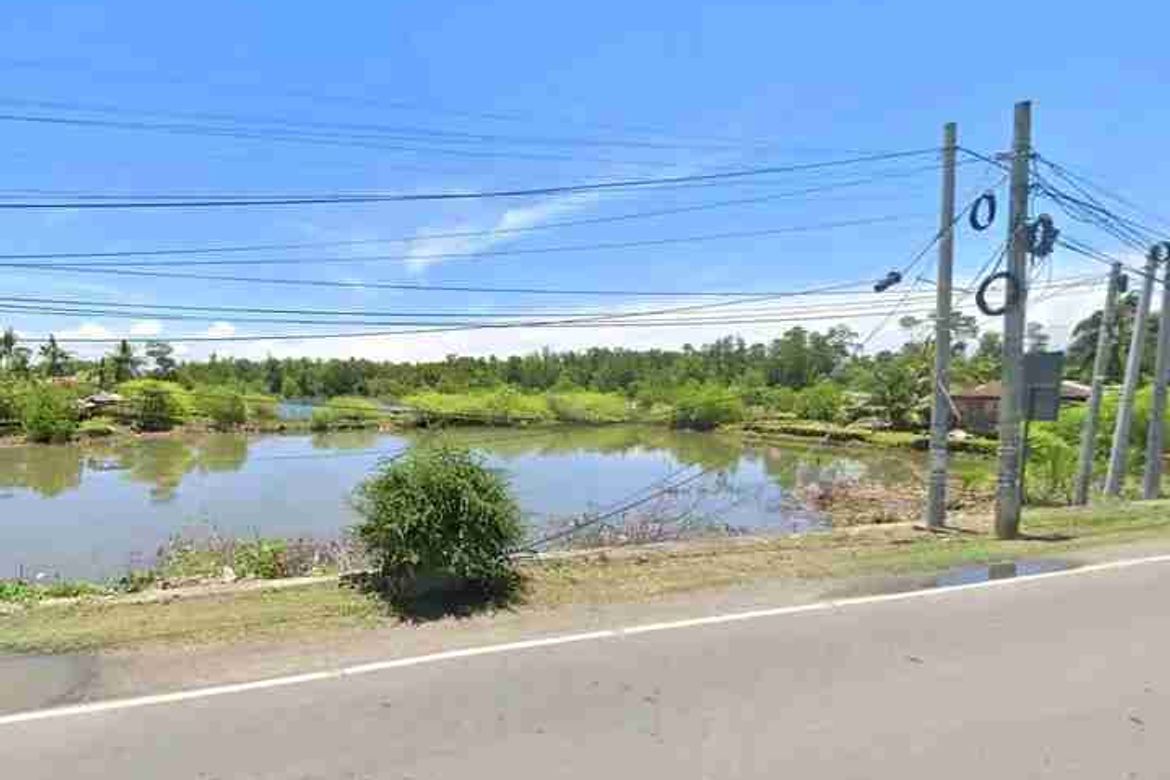 Commercial for Sale in Poblacion, Sibonga, Cebu – photo 2