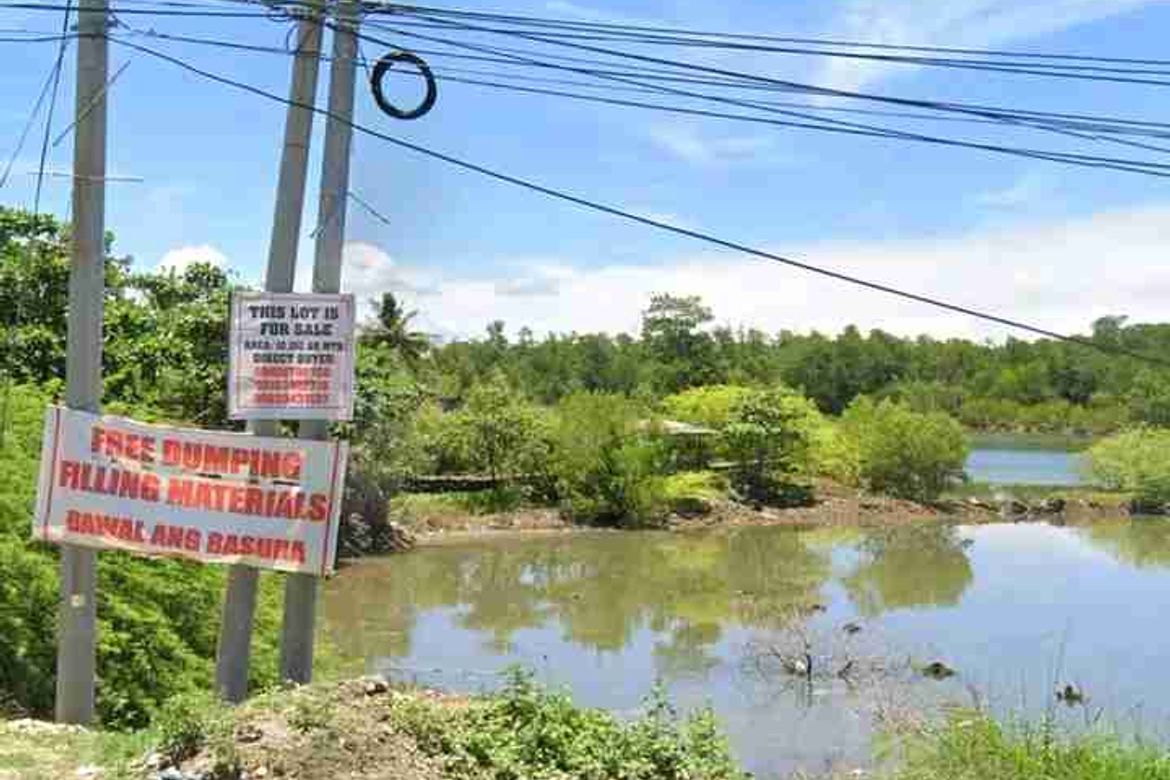 Commercial for Sale in Poblacion, Sibonga, Cebu – photo 3