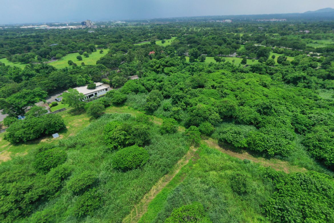 Commercial for Sale in Pulong Santa Cruz, Santa Rosa, Laguna – photo 2