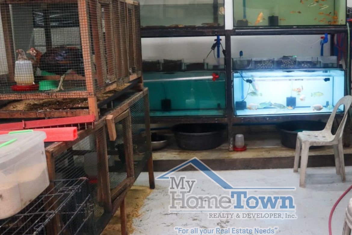 Commercial for Sale in Roxas, Quezon City, Metro Manila – photo 3