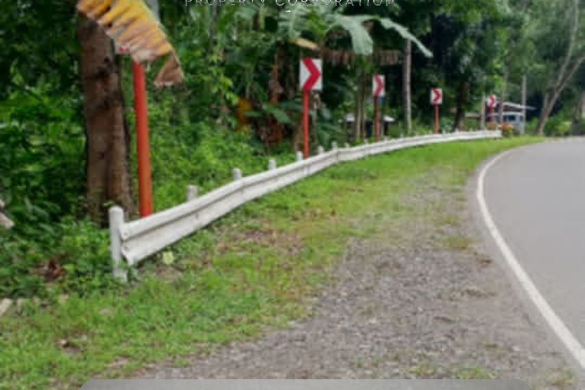 Commercial for Sale in San Agustin, Samal, Davao del Norte