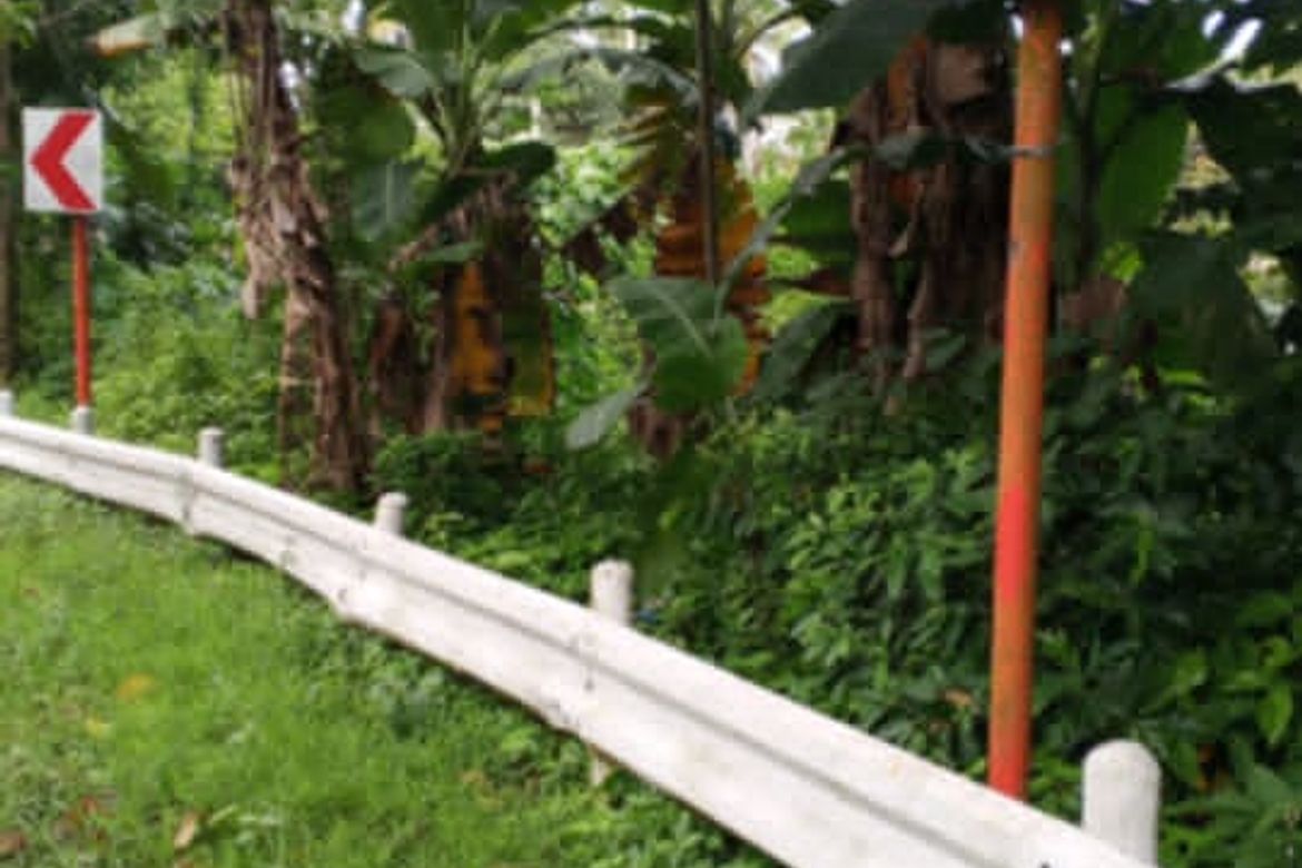 Commercial for Sale in San Agustin, Samal, Davao del Norte – photo 2