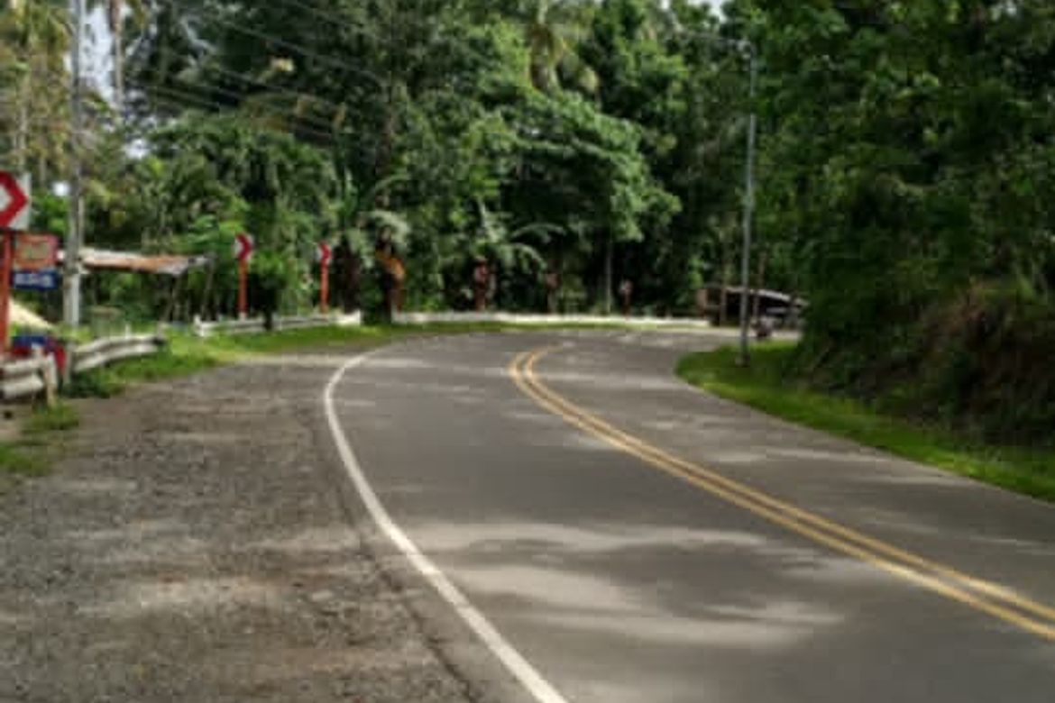 Commercial for Sale in San Agustin, Samal, Davao del Norte – photo 5