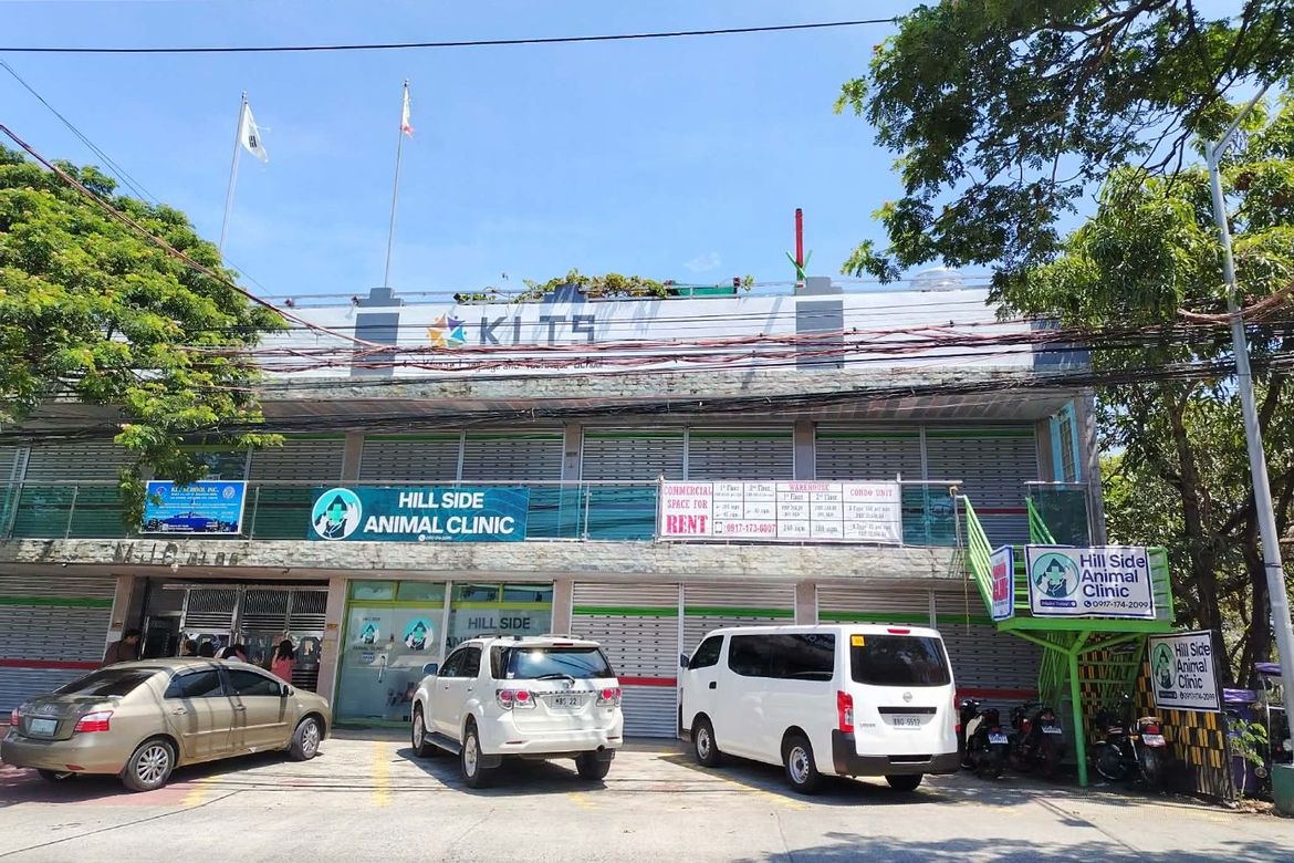 Commercial for Sale in San Antonio, San Pedro, Laguna
