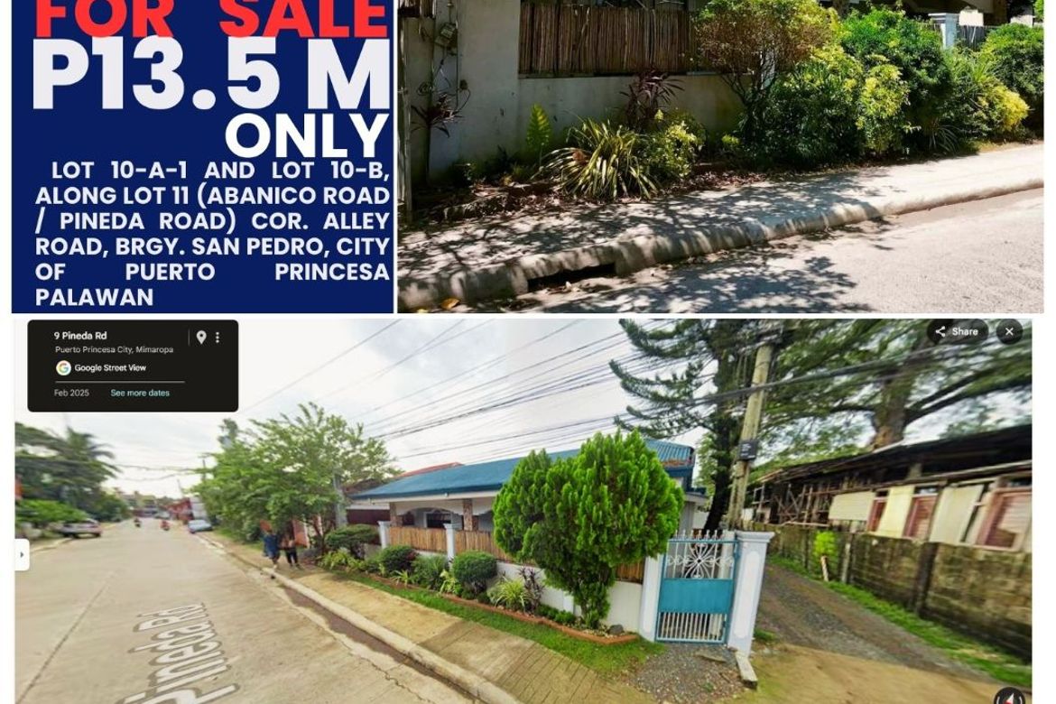 Commercial for Sale in San Pedro, Puerto Princesa, Palawan – photo 2