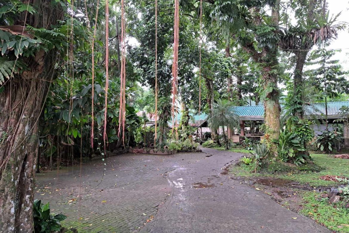 Commercial for Sale in Submakin, Labo, Camarines Norte – photo 4