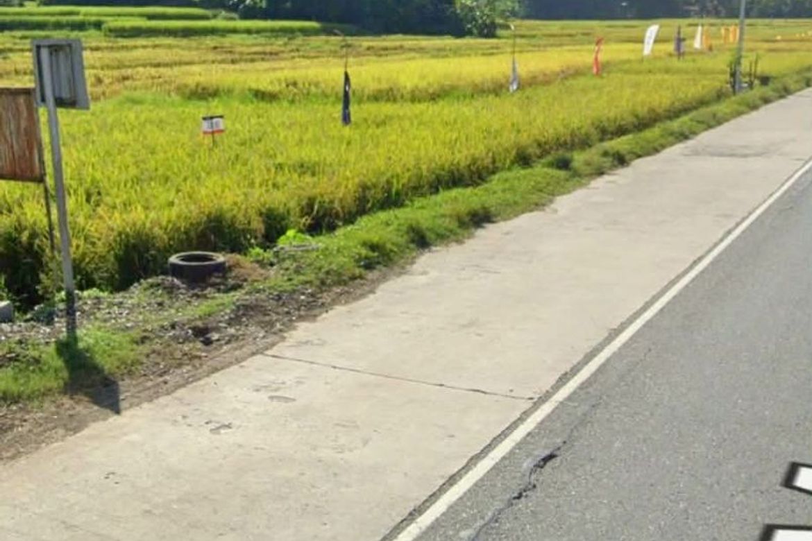 Commercial for Sale in Tanqui, San Fernando, La Union – photo 5