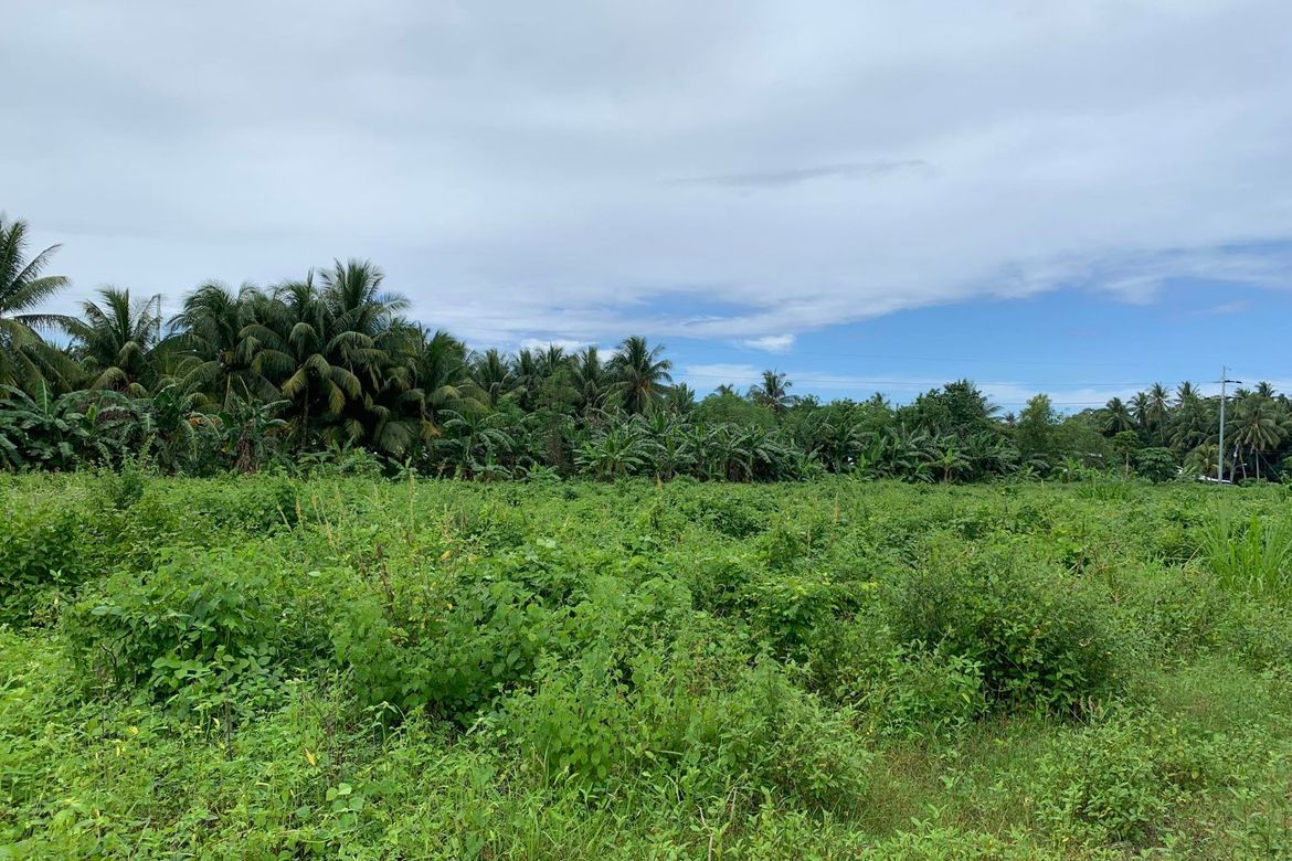 Commercial for Sale in Tugawe, Dauin, Negros Oriental – photo 2