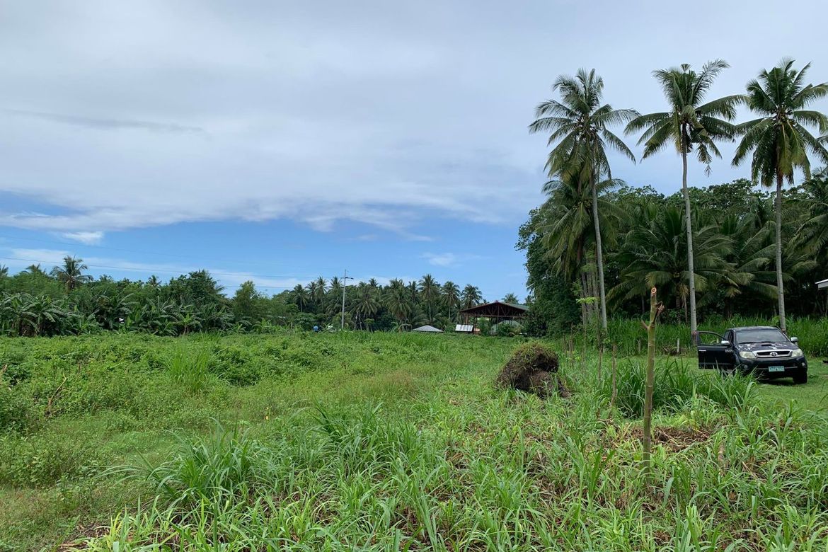 Commercial for Sale in Tugawe, Dauin, Negros Oriental – photo 3