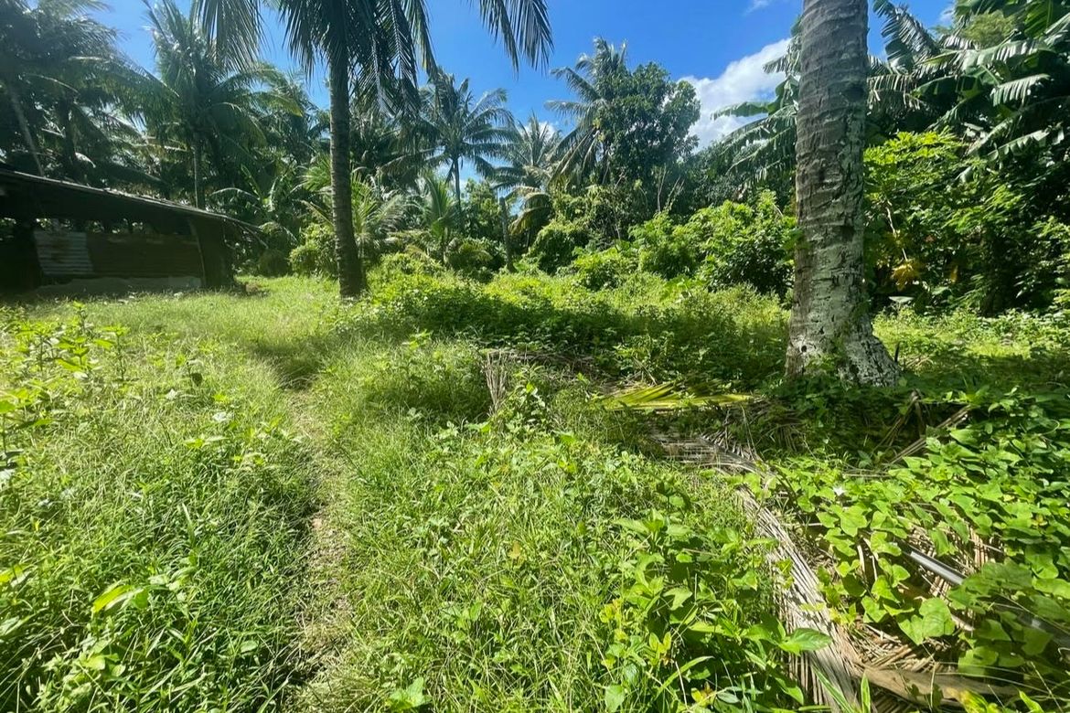 Commercial for Sale in Tumbaga 2, Sariaya, Quezon – photo 2