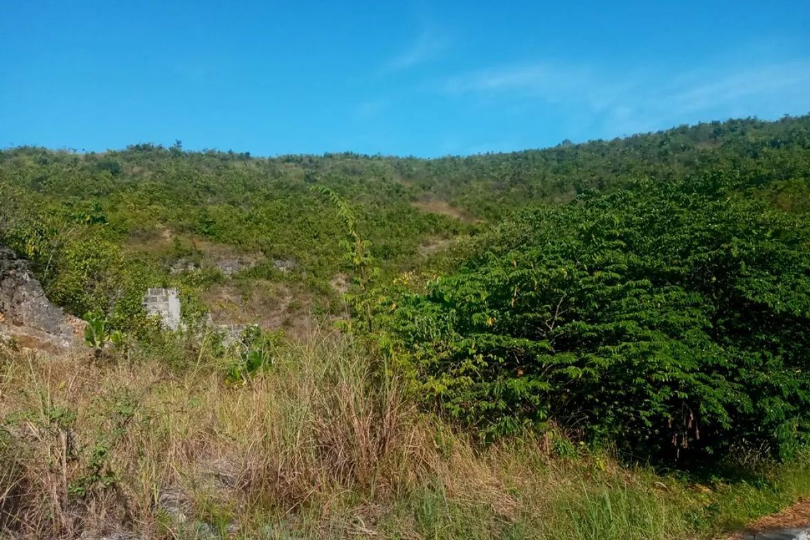 Condo for Sale in San Roque, Liloan, Cebu – photo 5