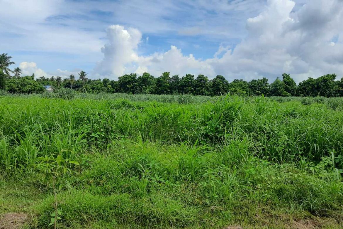 House for Sale in Buliran, San Antonio, Quezon – photo 5