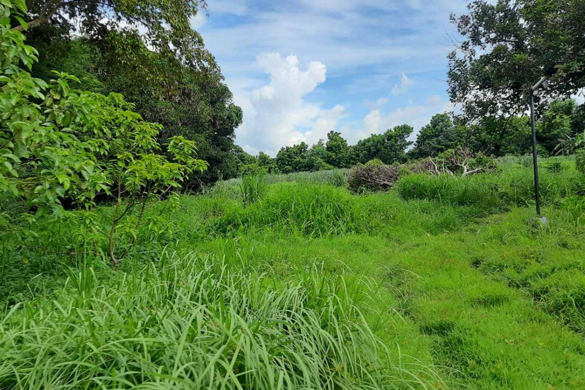 House for Sale in Buliran, San Antonio, Quezon – photo 7