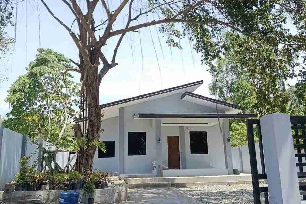 House for Sale in Catagman, Samal, Davao del Norte