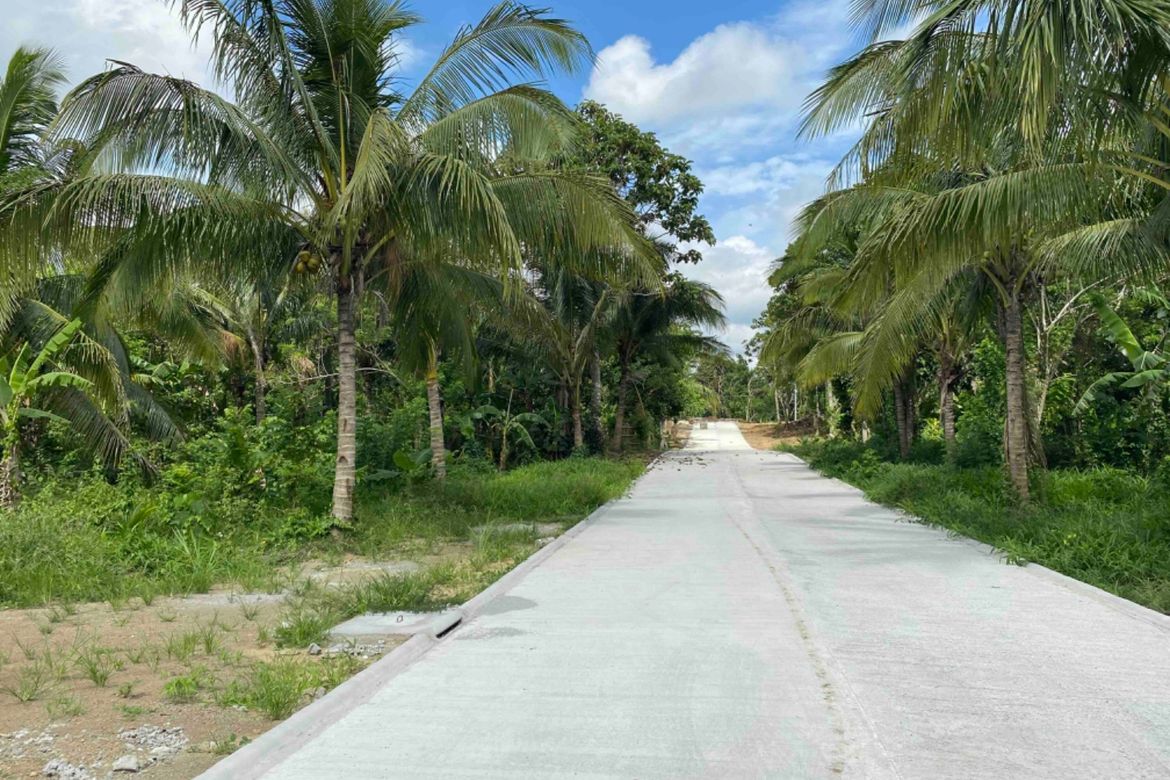 House for Sale in Dagatan, Amadeo, Cavite – photo 4