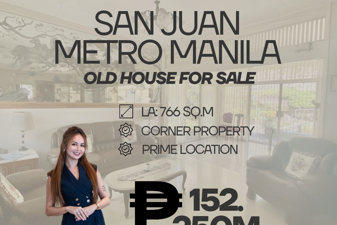 House for Sale in Little Baguio, San Juan, Metro Manila