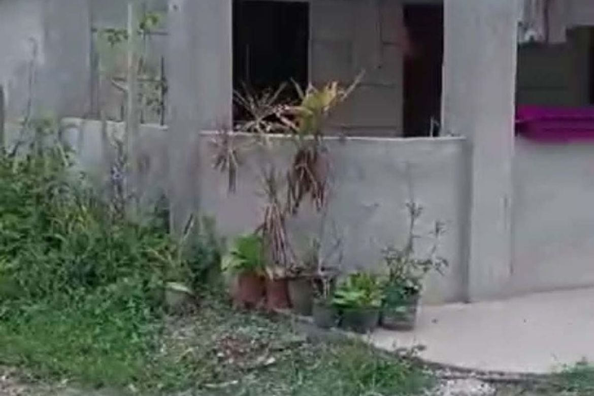 House for Sale in Moncado, Samal, Davao del Norte – photo 2