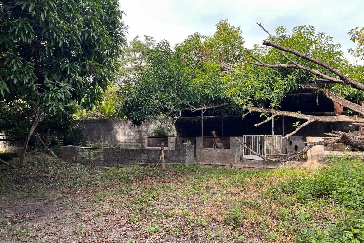House for Sale in Pagala, Baliuag, Bulacan – photo 8