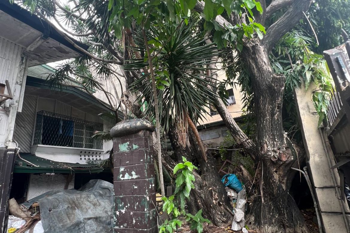 House for Sale in Poblacion, Mandaluyong, Metro Manila – photo 6