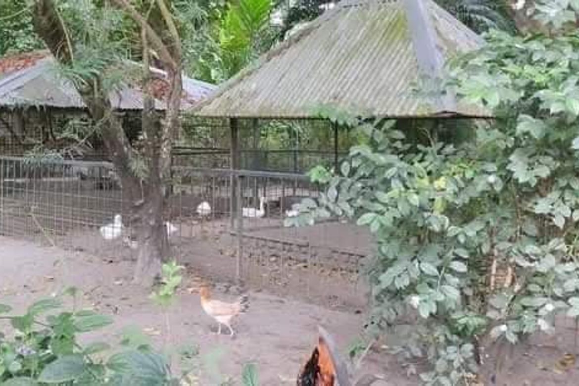 House for Sale in Santa Juliana, Capas, Tarlac – photo 2