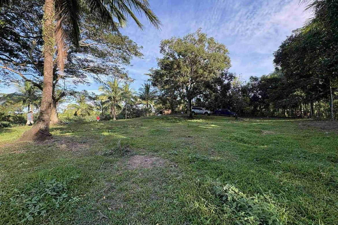 Land for Sale in A. Dalusag, General Emilio Aguinaldo, Cavite