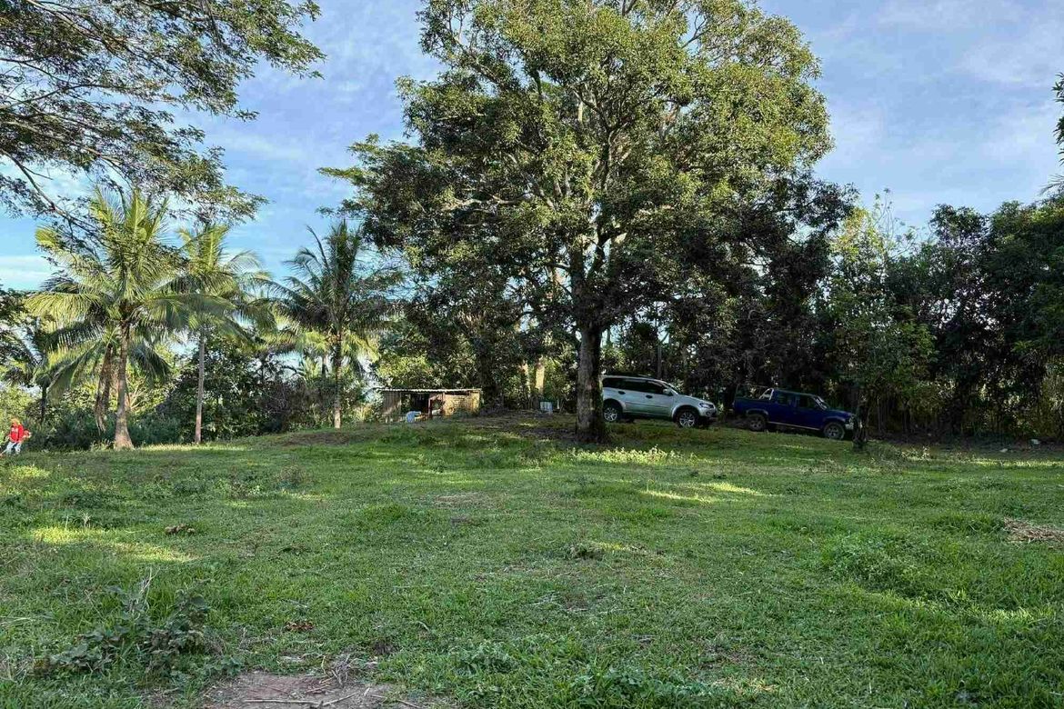 Land for Sale in A. Dalusag, General Emilio Aguinaldo, Cavite – photo 2