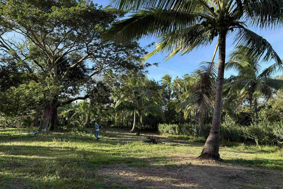 Land for Sale in A. Dalusag, General Emilio Aguinaldo, Cavite – photo 4